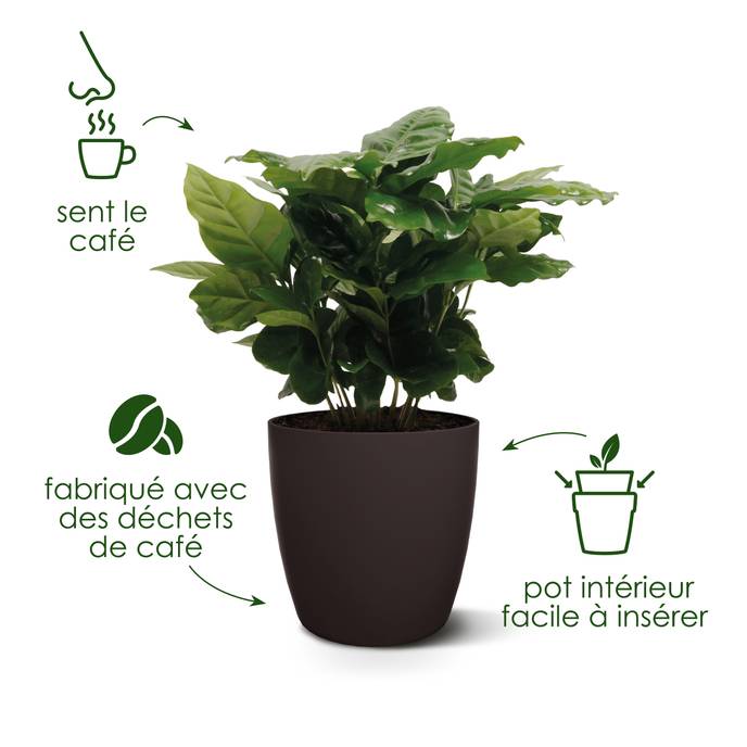 the coffee collection ronde 22cm espresso brun